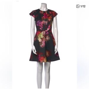 Ted Baker Embla Cascading Floral Skater Dress 1 Scuba Fit & Flare Wedding  sz 4